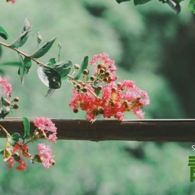 Kaiyun·开云体育手机app下载